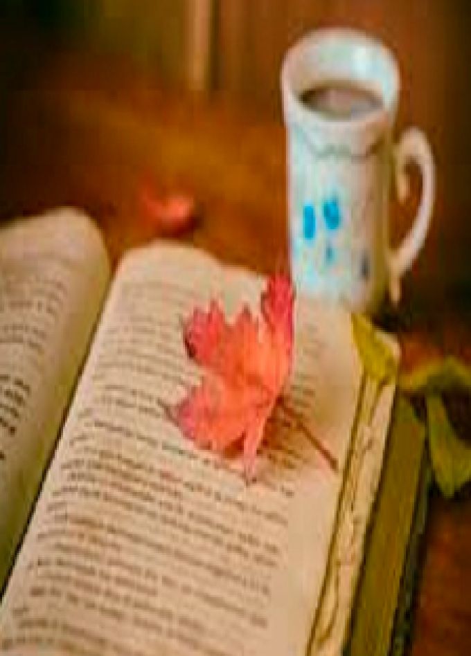 Творчество поэта Александра Блока. Литературная гостиная