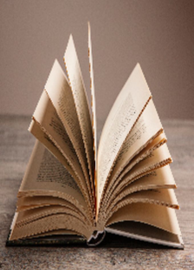 Страницы русской поэзии. Литературная гостиная