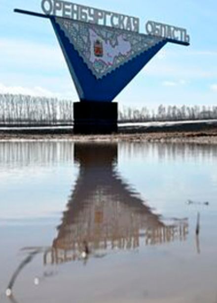 Знатоки родного края. Интеллектуальная программа