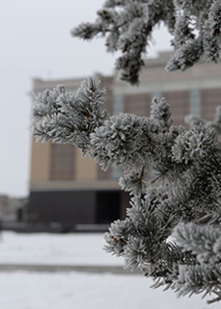 Традиции семейных праздников. Занятие