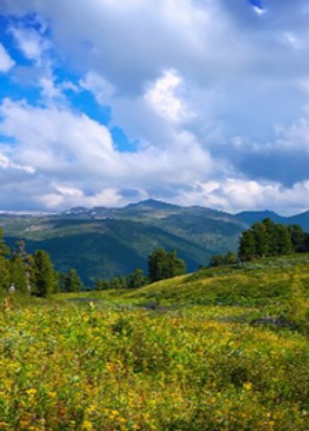 Мой край родной – моя история живая. Интеллектуальная программа