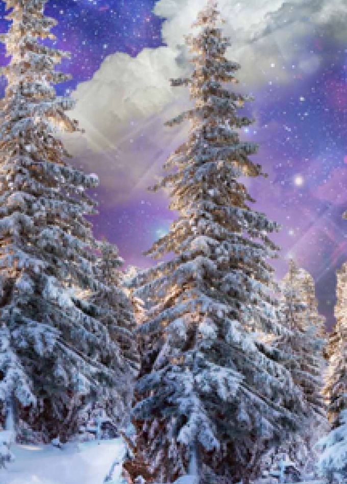 Волшебство в Новый год