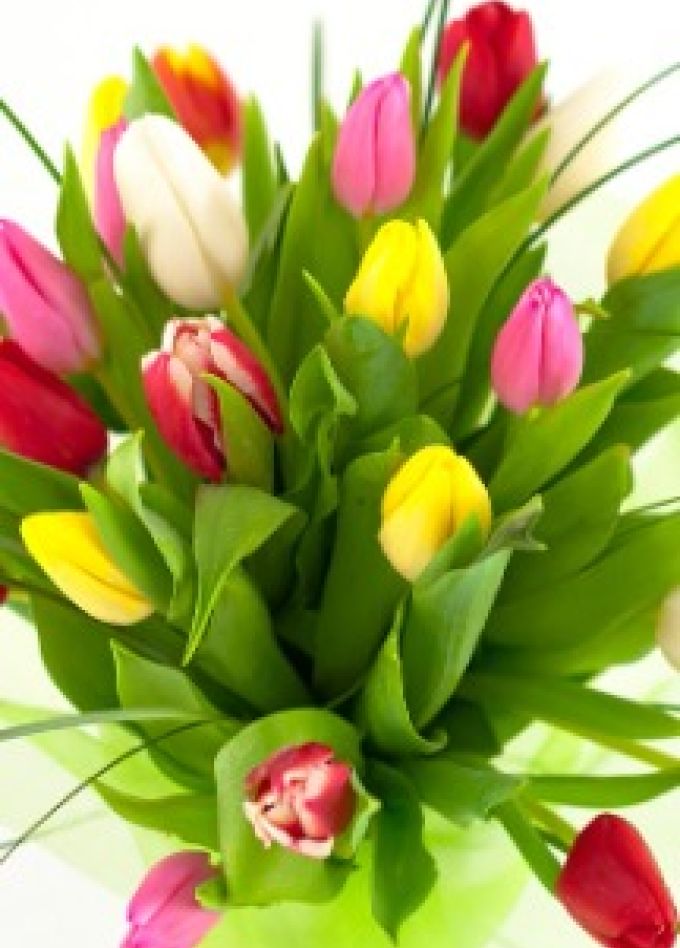 Букет пожеланий для милых дам. Концерт