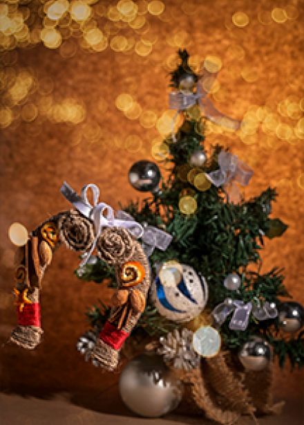 Конь-огонь. Занятие